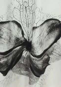 Blouses><noscript><img width=