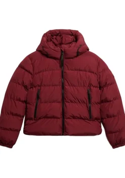 Winterjassen|Jassen>SUPERDRY JACK