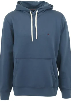 Truien>TOMMY HILFIGER HOODIE