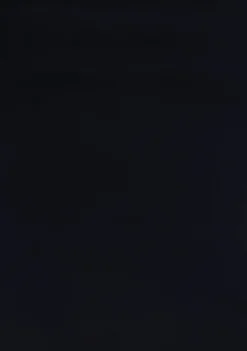 Gelegenheidskleding><noscript><img width=