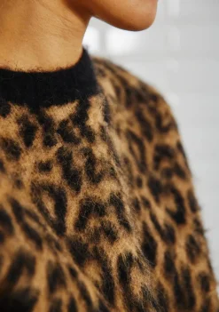 Truien><noscript><img width=