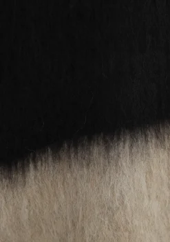 Truien><noscript><img width=